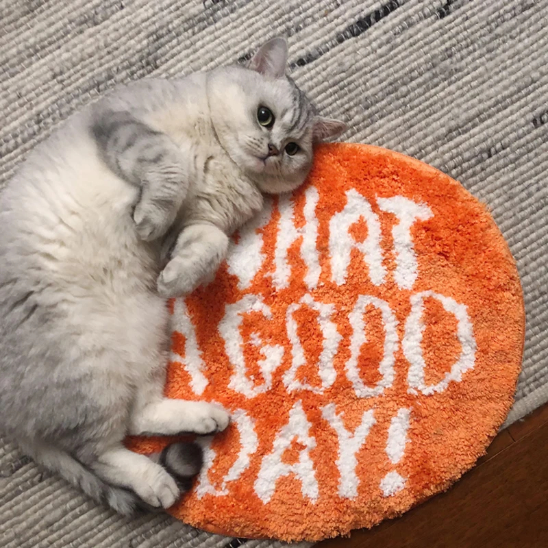 Orange Flocking Floor Rug What - Home Goods Bathroom Rugs ulasan dan harga
